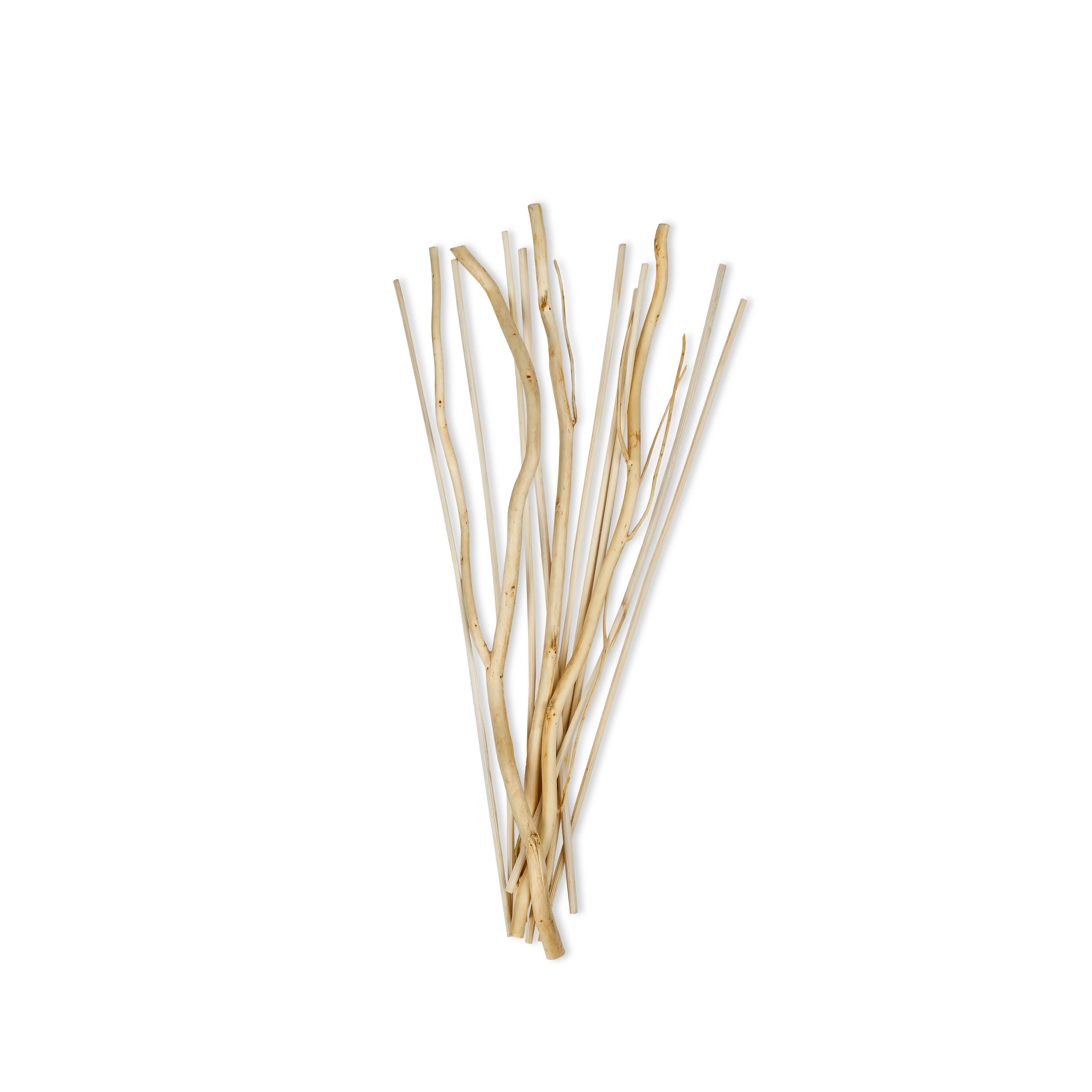 Decorative Reeds - Cucina | Natural - Image 2
